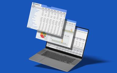 Martus Reports