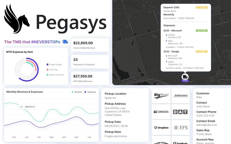 Pegasys Shipment Details