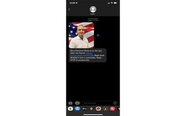pulseM Receive Message Include a Short Profile