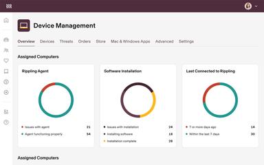 Rippling IT Data Analytics