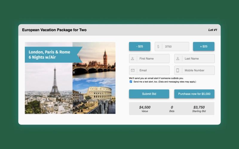 Snowball Travel Package Auction