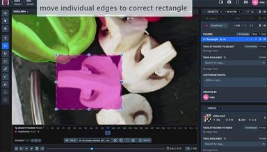 Video Labeling