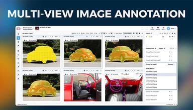 Multi View Image Annotation Guide