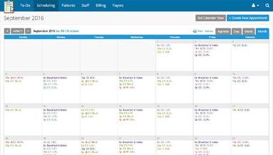 TherapyNotes EHR Scheduling Calendar