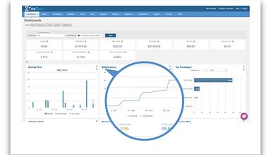 TimeSolv Dashboards